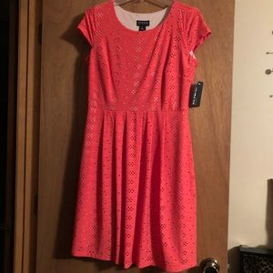 Enfocus Studios short sleeve dress
